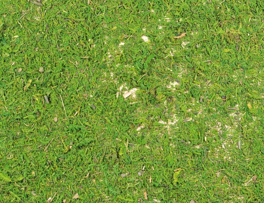 Riffelmacher Krippenmatte Moosmatte 60 x 45 cm 78317 | Grün