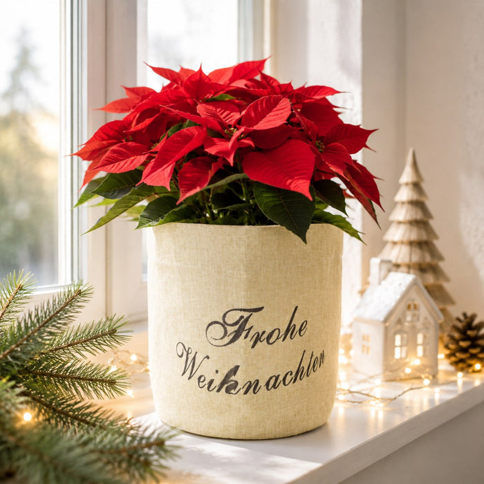 Pflanztasche "Frohe Weihnachten" Beige | 30×35 cm | Übertopf aus Stoff | 13194