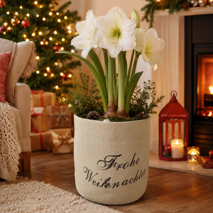 Pflanztasche "Frohe Weihnachten" Beige | 30×35 cm | Übertopf aus Stoff | 13194